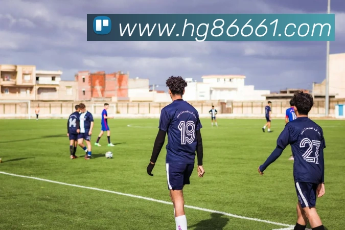 互动解说服务
